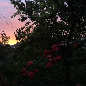 Патимат Османова Profile Picture