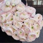 SaidaK Profile Picture