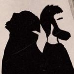 Umm_Asiya Profile Picture