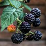 Фаваиды profile picture