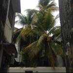 Amina Ilyasova.19 Profile Picture