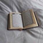 al-Kahf profile picture