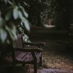 mira Profile Picture