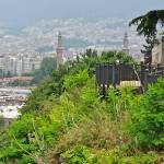 Erik29 Profile Picture