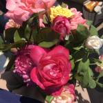 Карима Profile Picture