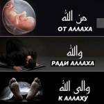 أبوليث محمد