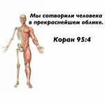 AbuUmarrrrr Profile Picture