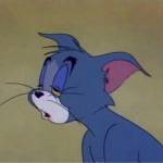 Abul Haysam Profile Picture