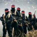 gadjik Ибрагимов Profile Picture