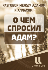 Разговор между Адамом и Аллахом: О чем спросил Адам?