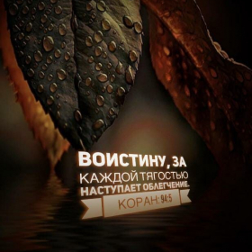 Амир Курбанов Profile Picture