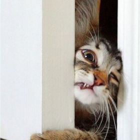 Maulen Junus Profile Picture