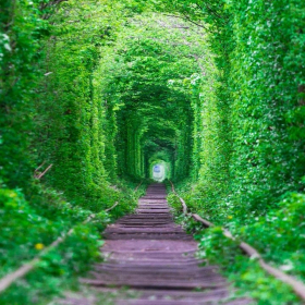 Muhammad Nasser Profile Picture