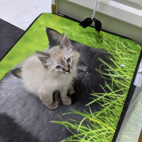 Анвар Абдурагимов Profile Picture