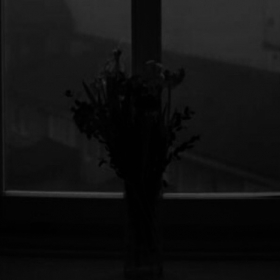 Adam Adamov Profile Picture