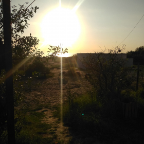 Asiya Gagjimagomebova Profile Picture