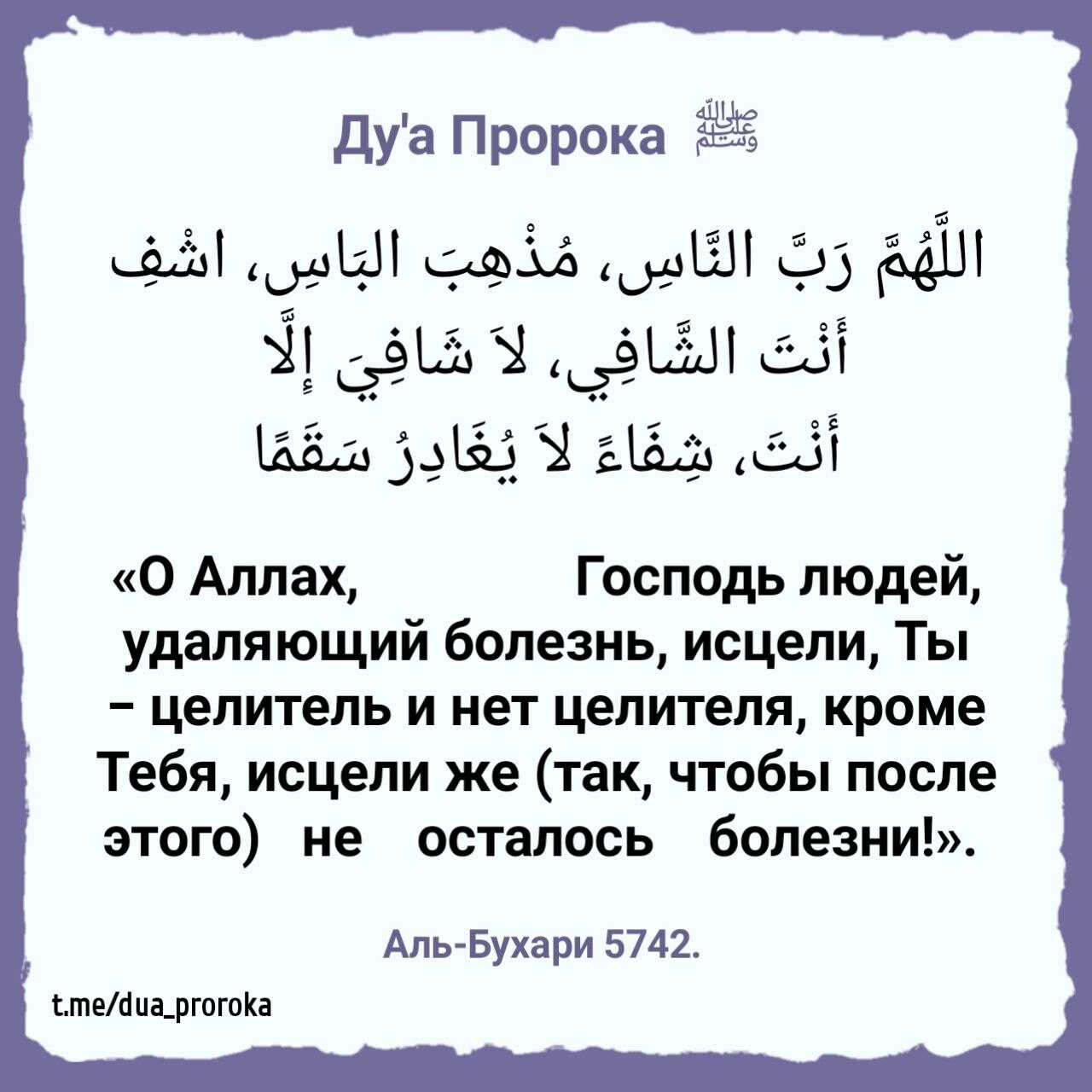 Анзор Хамзатов Profile Picture