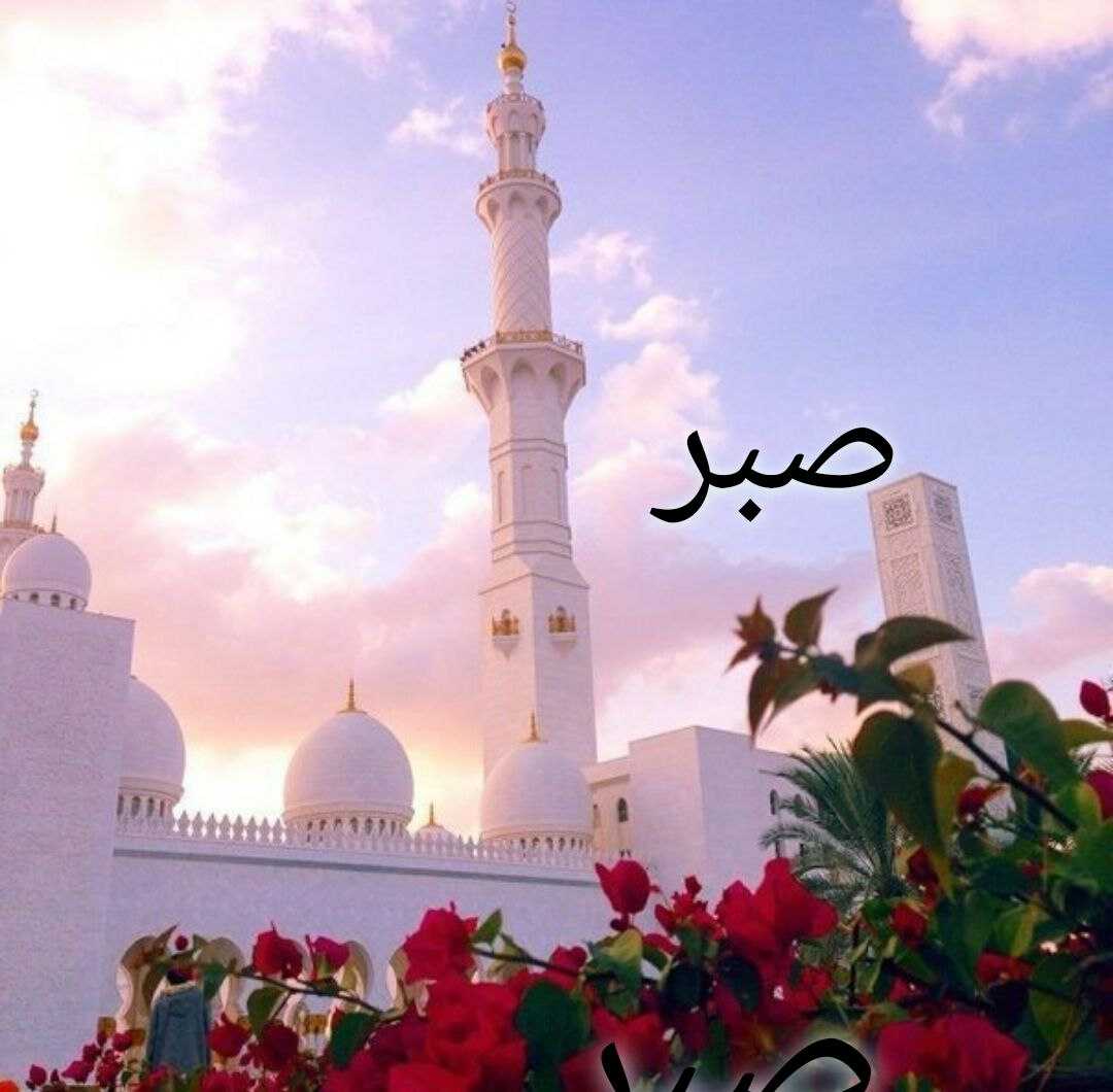 Ida Kasymova Profile Picture