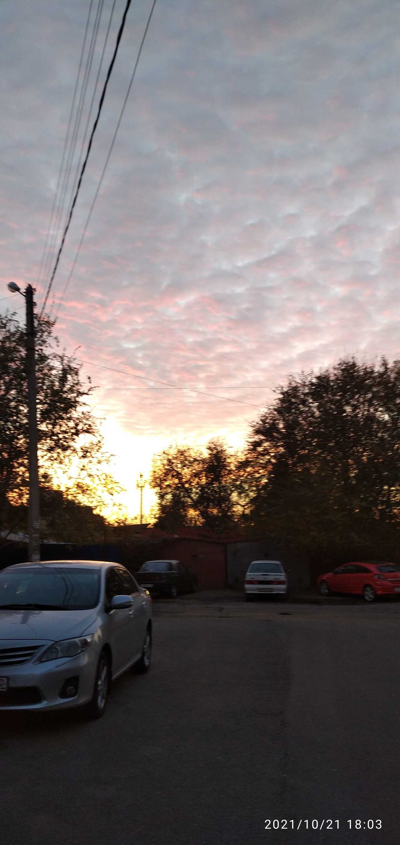 Has Kit Profile Picture