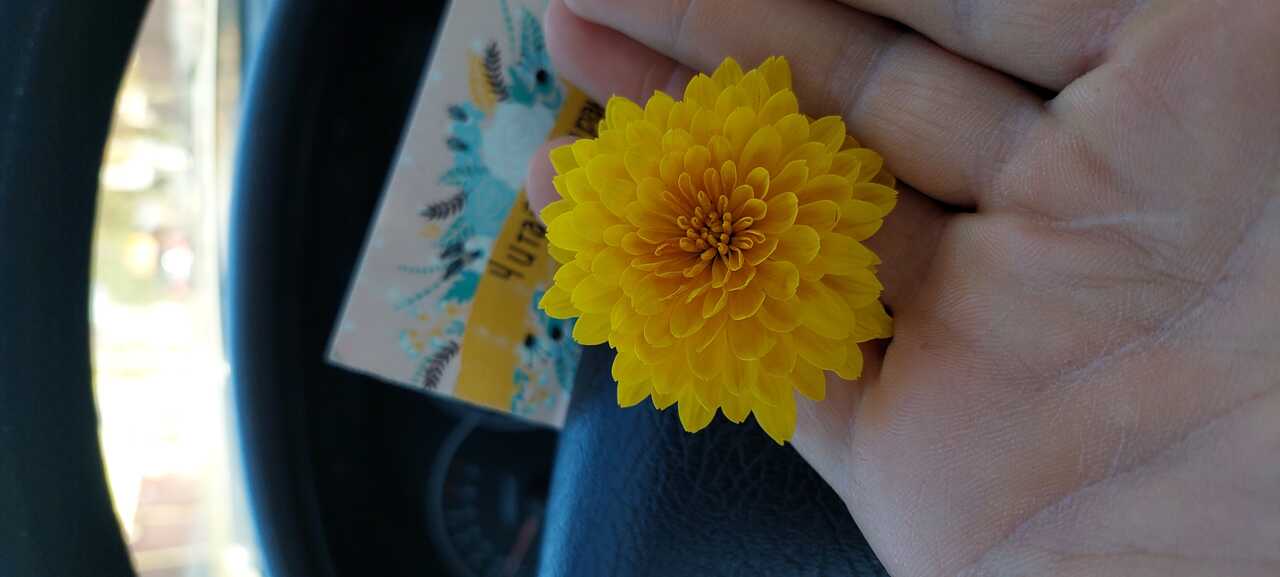 Абдулла Хиджама Profile Picture