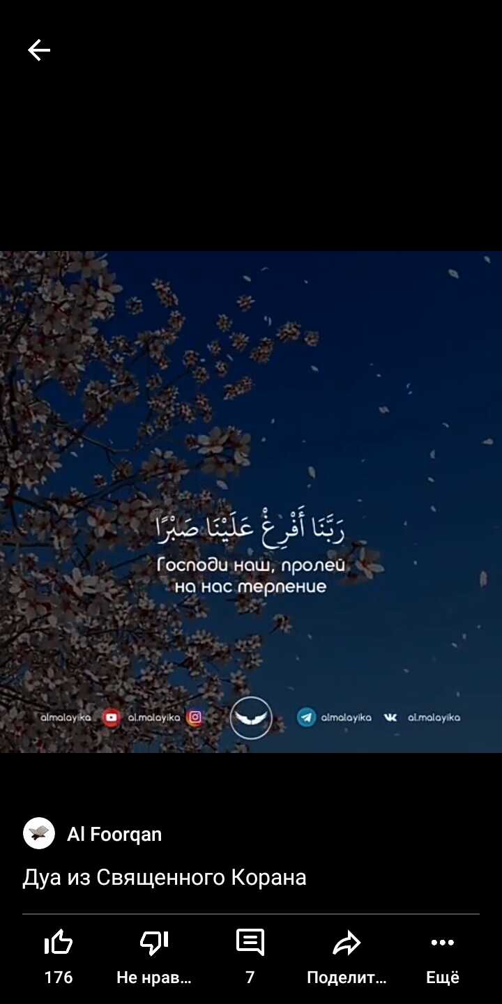 М А Profile Picture