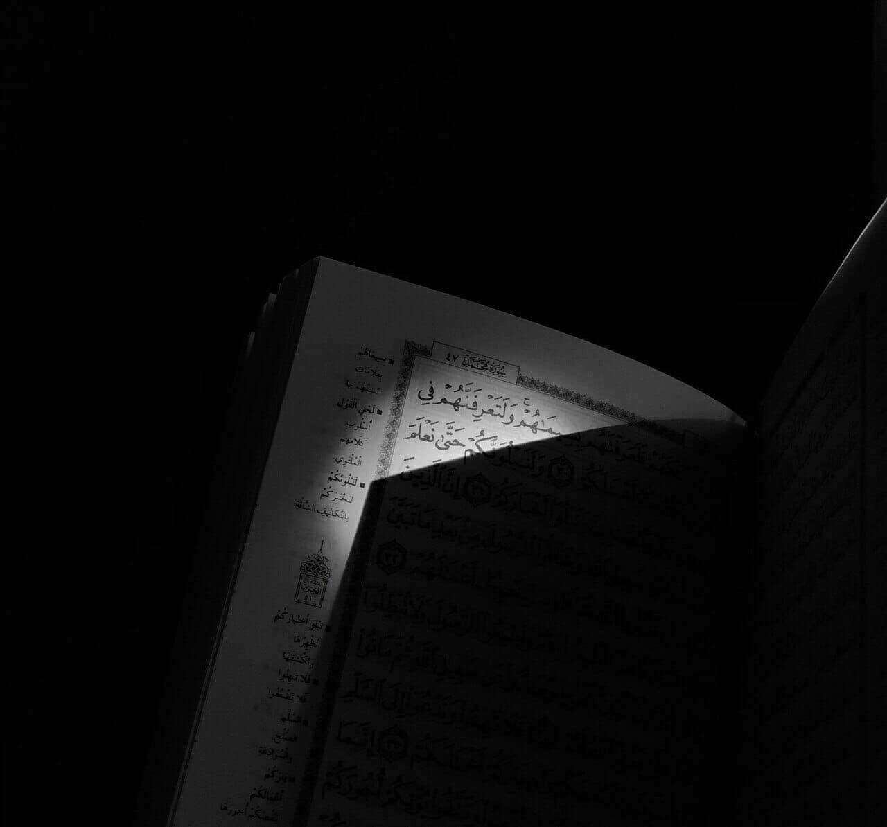 Amina Alieva Profile Picture