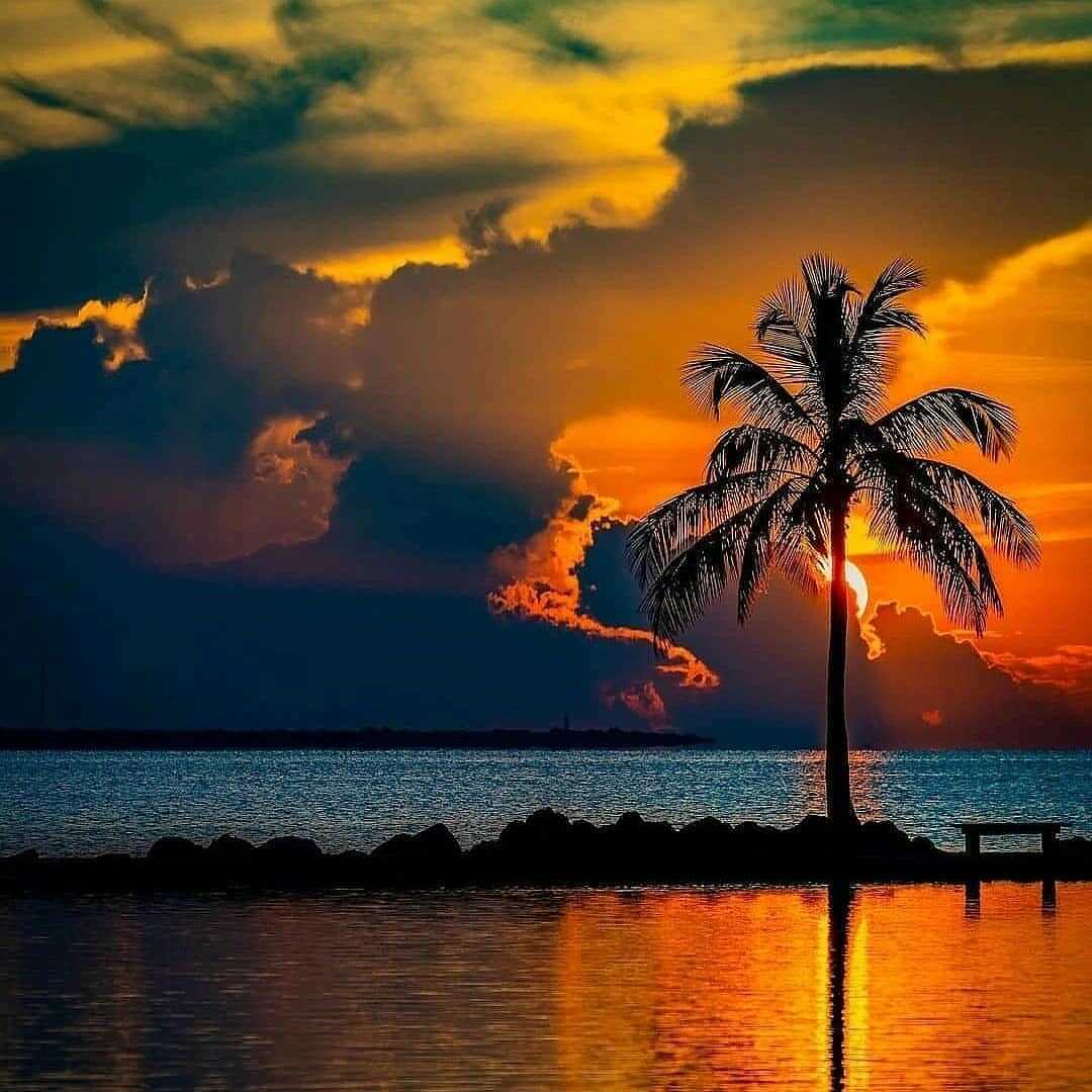 Aslan Oziev Profile Picture