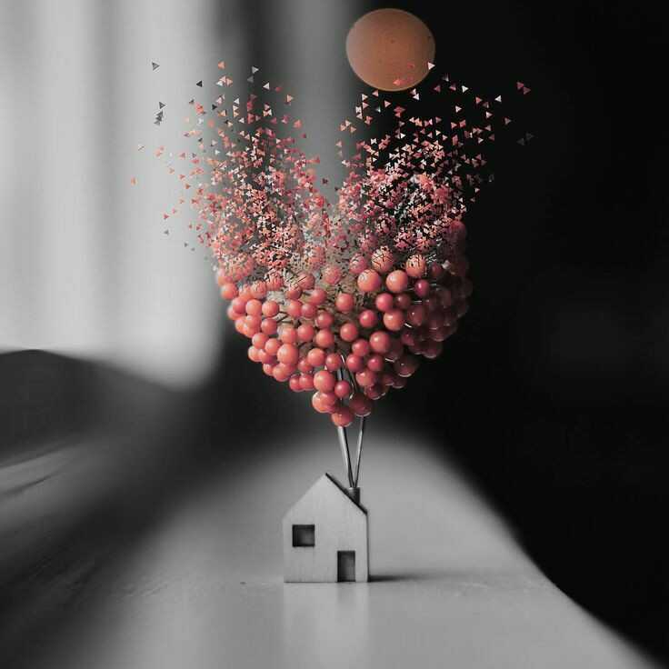 ai_di 02 Profile Picture