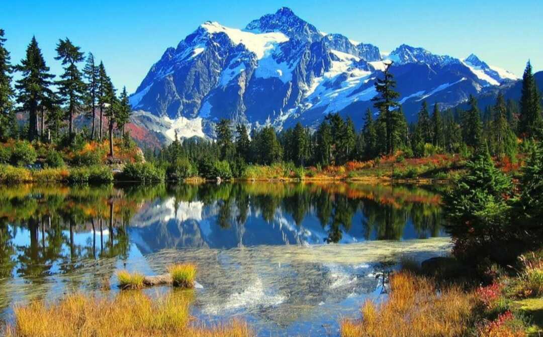 89276777818 Profile Picture