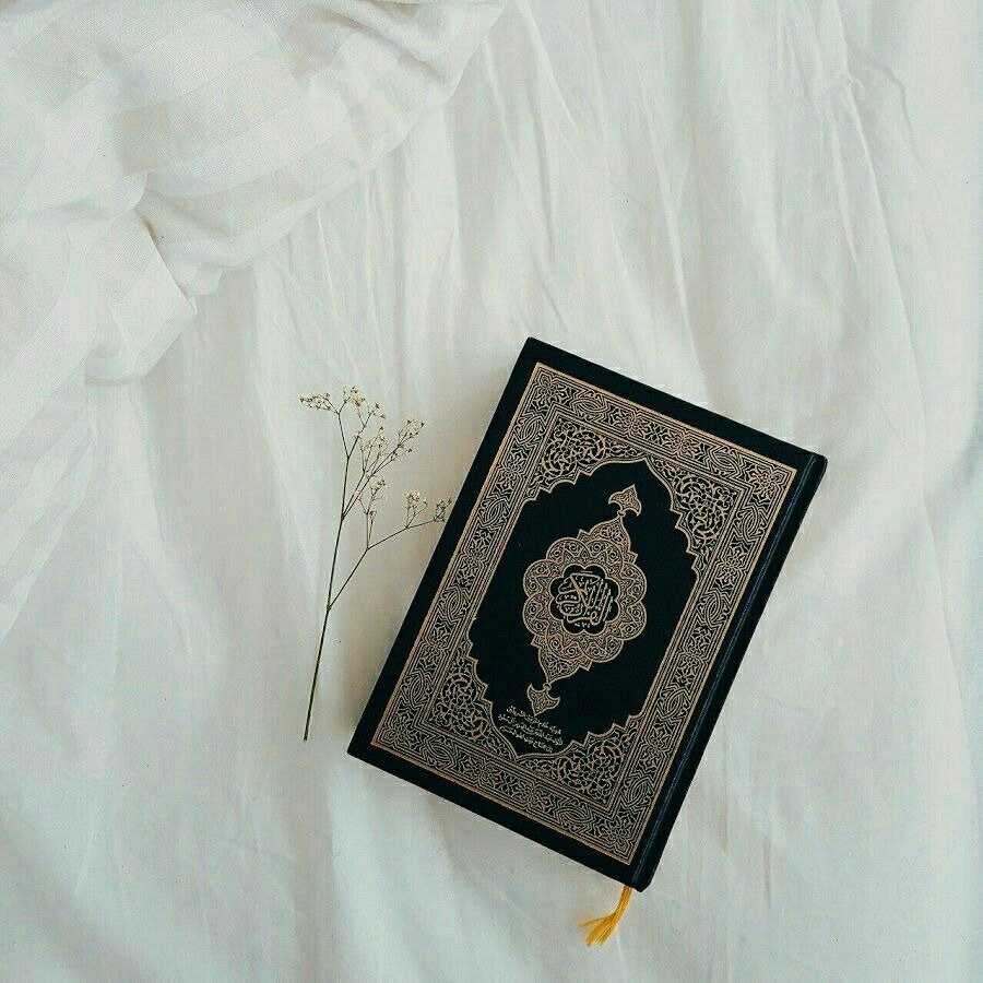 Samandar Yeskuatov profile picture