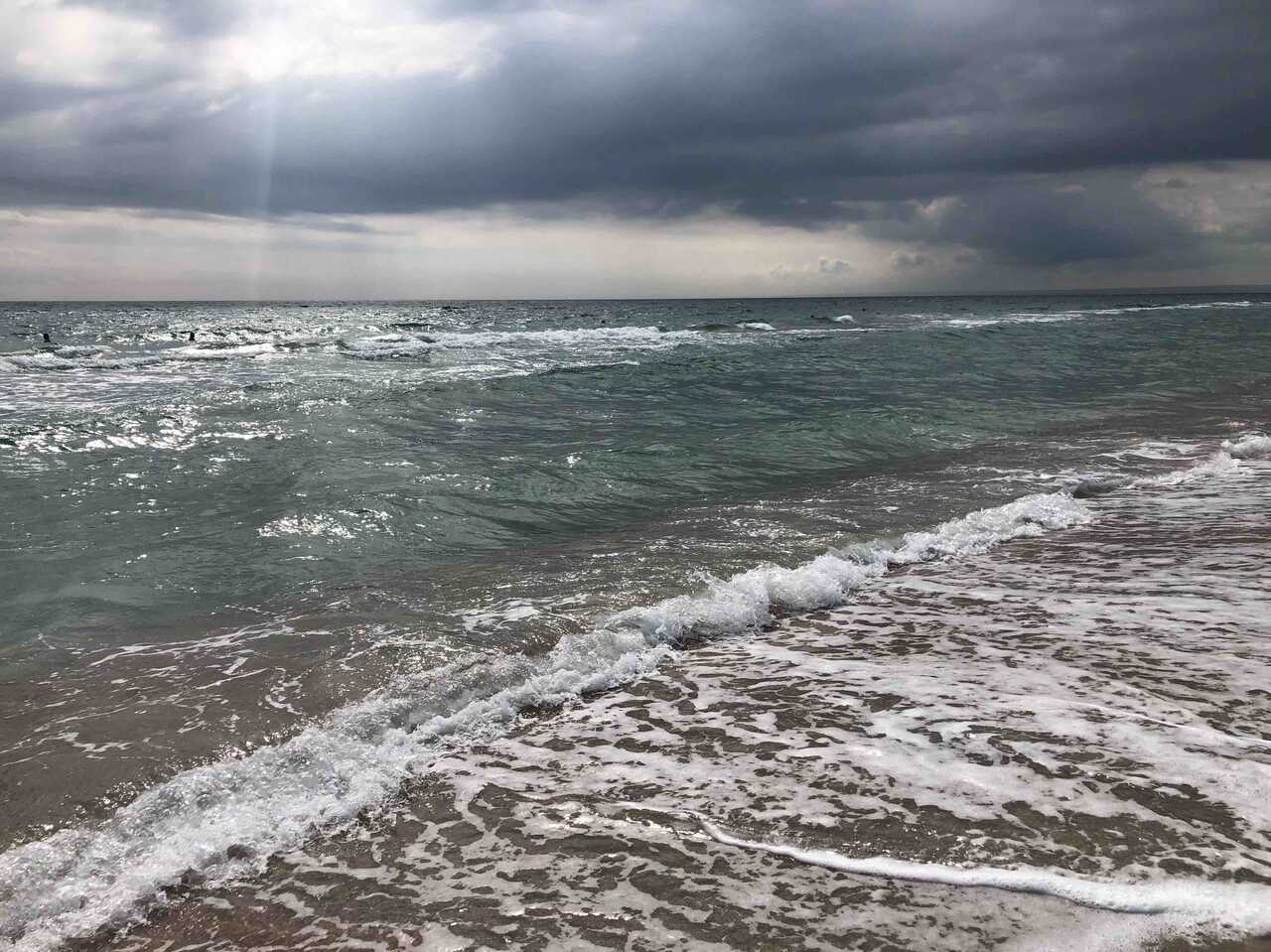 Альберт Петров Profile Picture