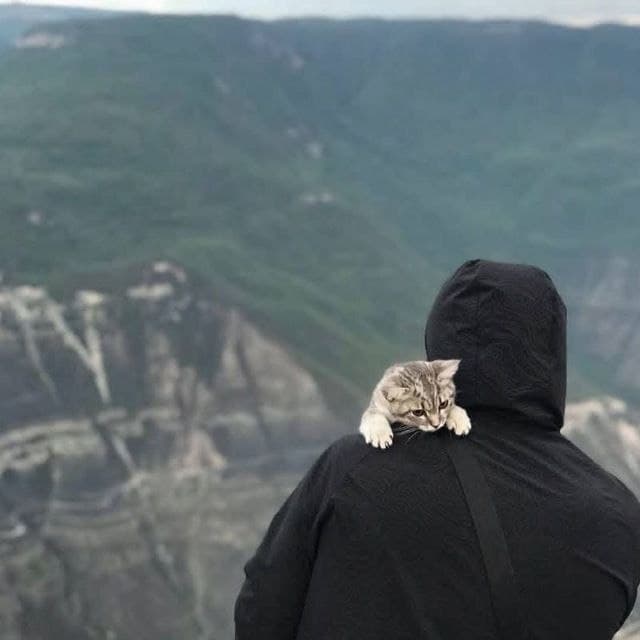 Mabrur Khayitboyev Profile Picture