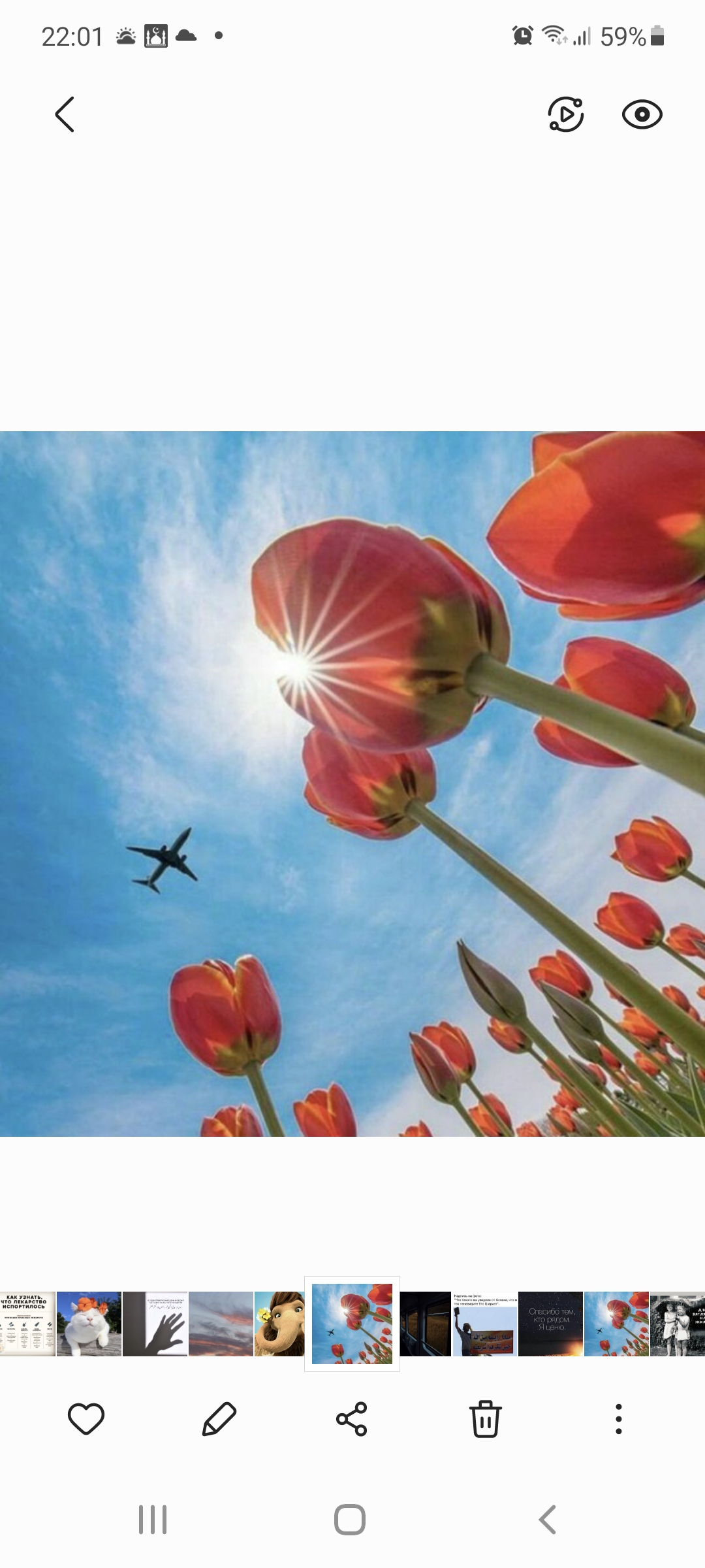 fialka3183 Profile Picture