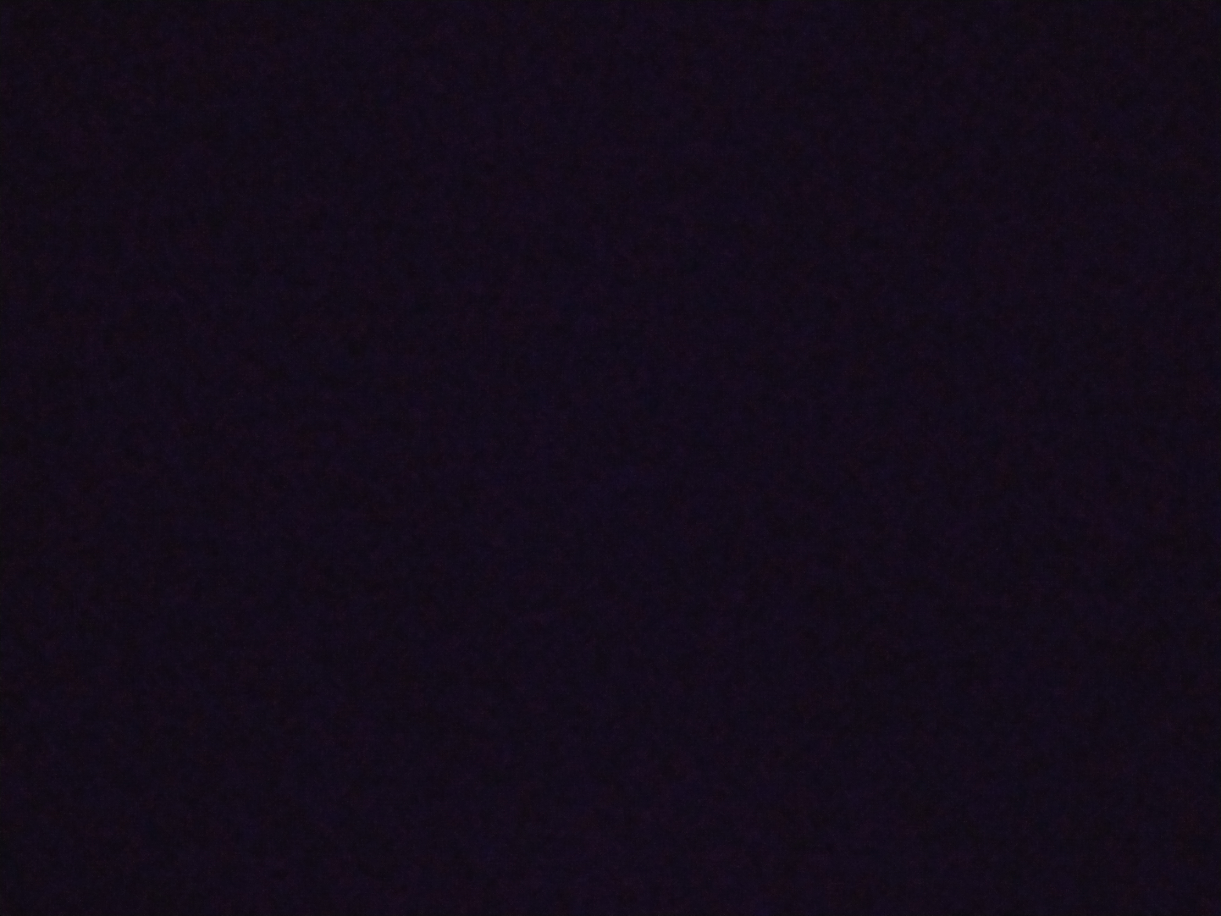 Kamil Israpov Profile Picture