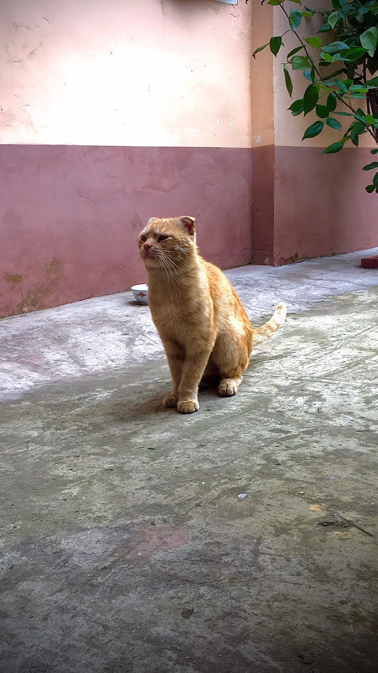 Джамал Сиражутдинов Profile Picture