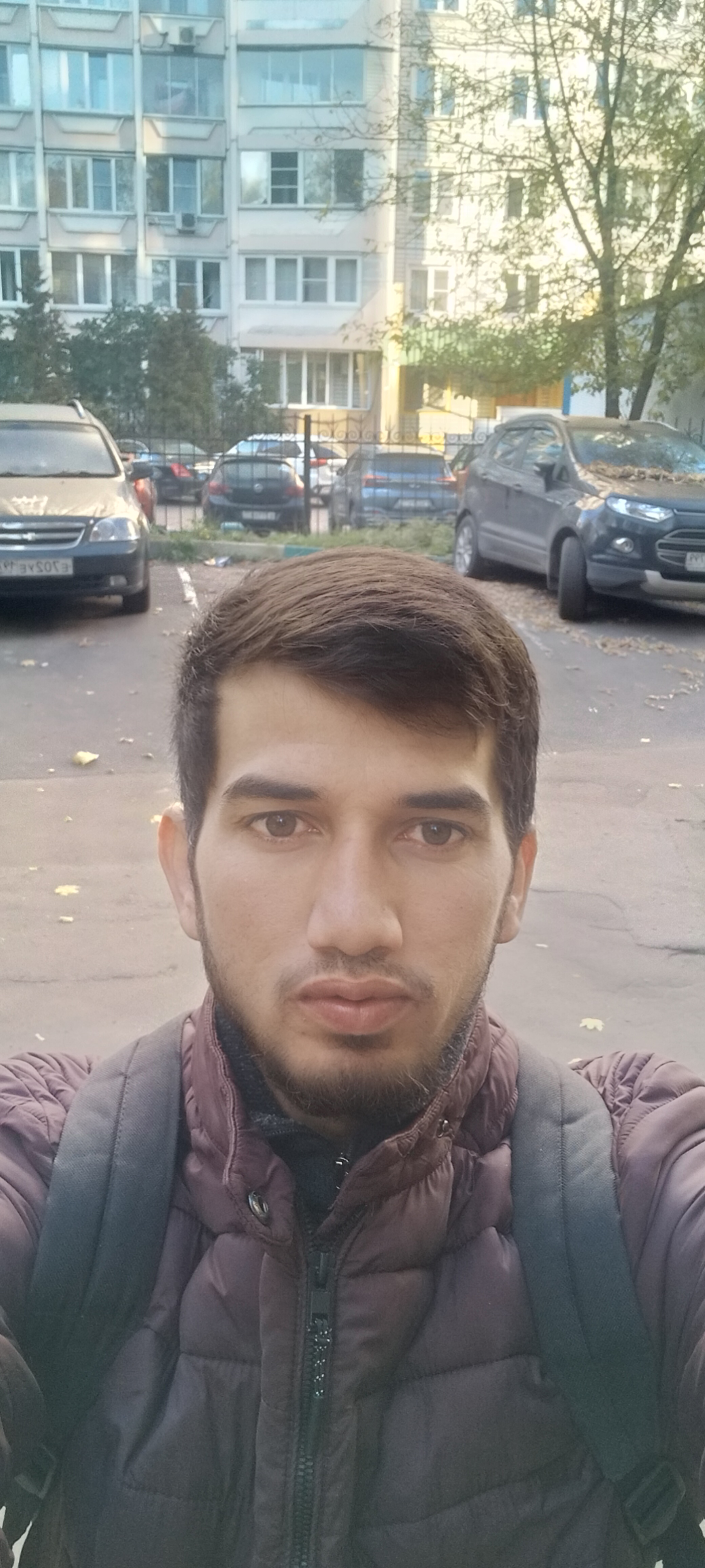 Махмуд Шомадов Profile Picture