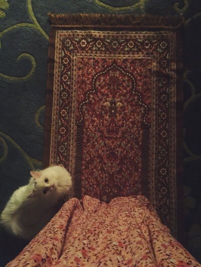 Алина Габибуллаева