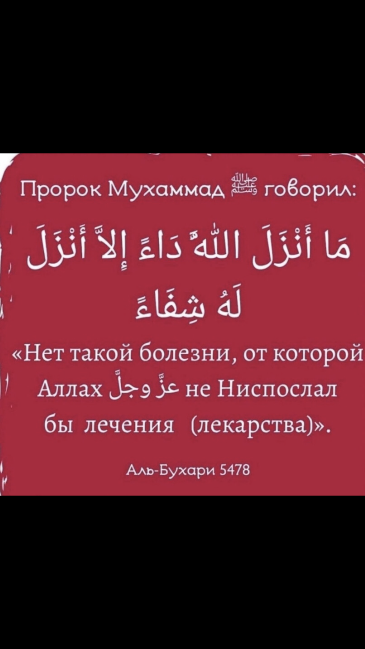 Айнур Кутлубаев