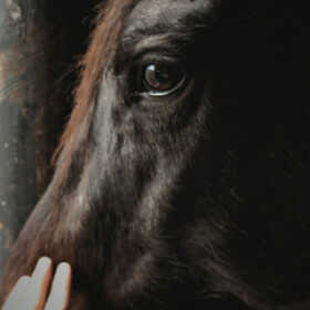 Раид Ульбашев Profile Picture