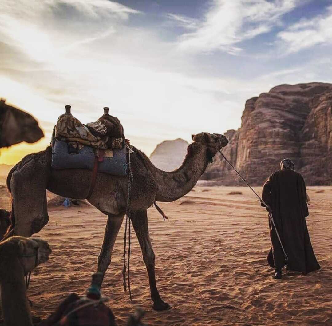 Шамиль Вагабов Profile Picture