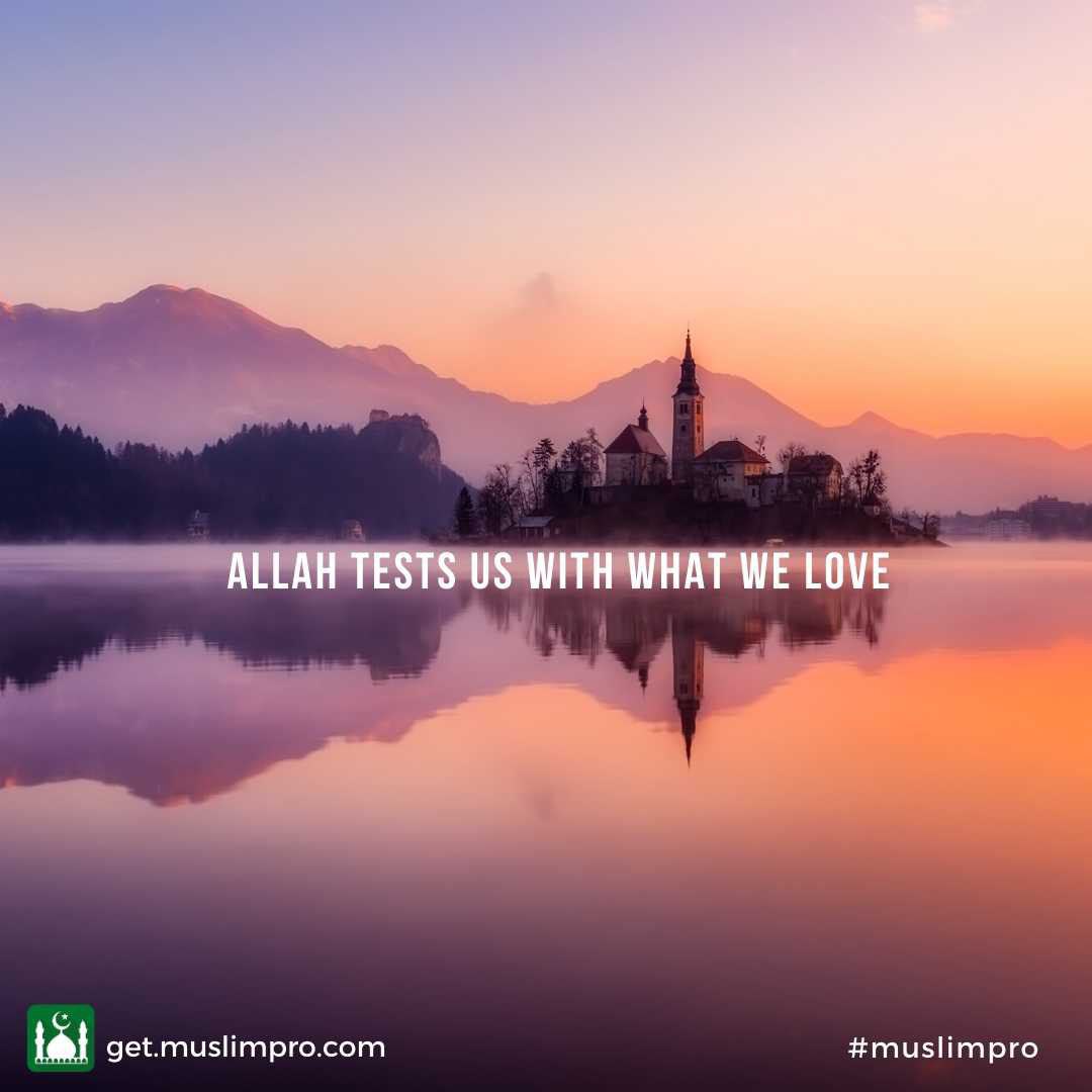 Abdulhafiz Saidov Profile Picture