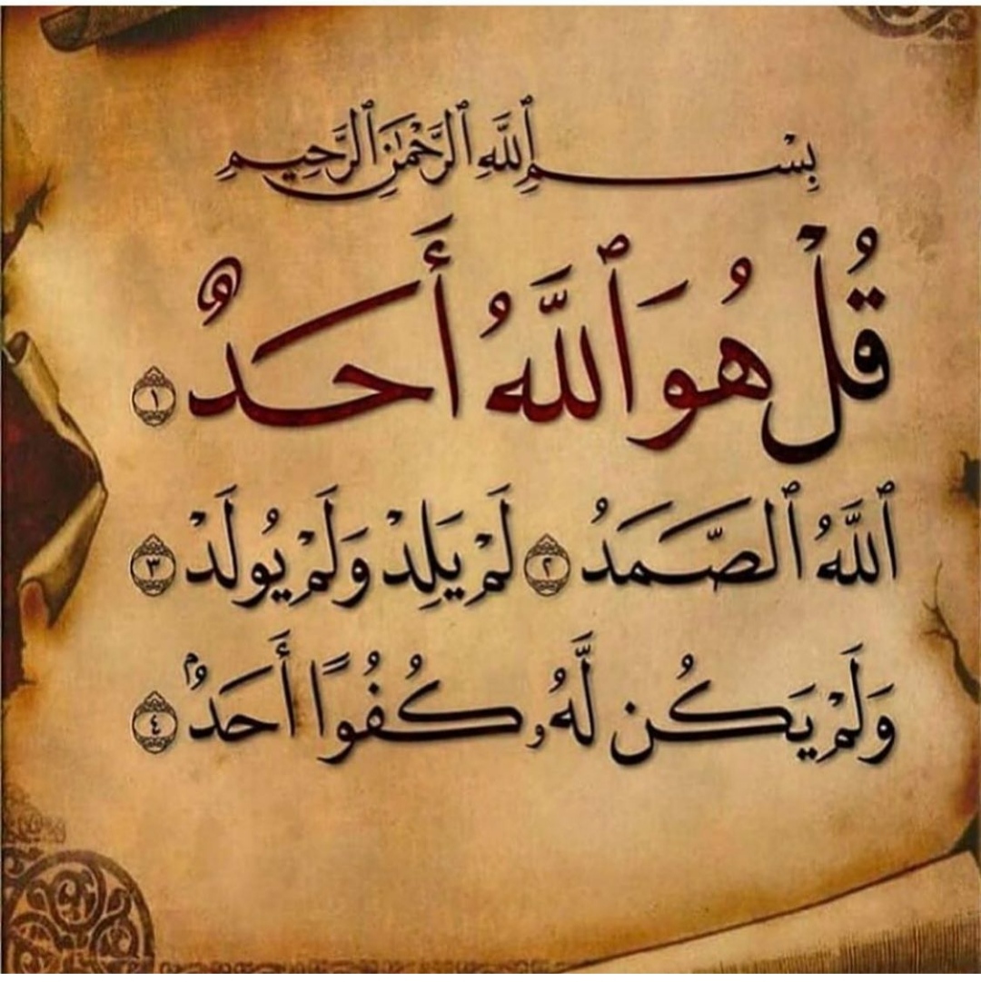 Alemzer Zeyniyeva Profile Picture