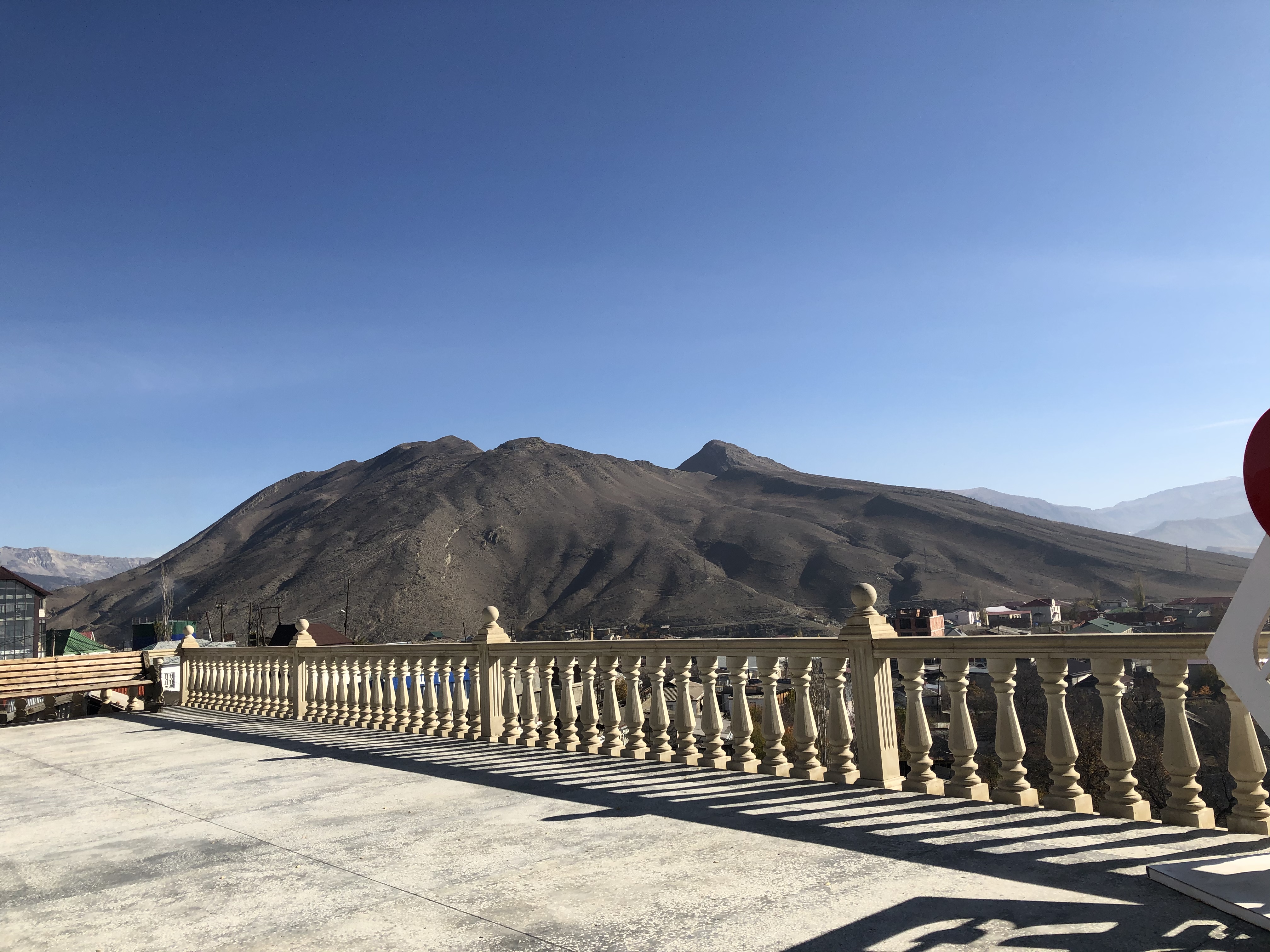 Anna Bodnar Profile Picture