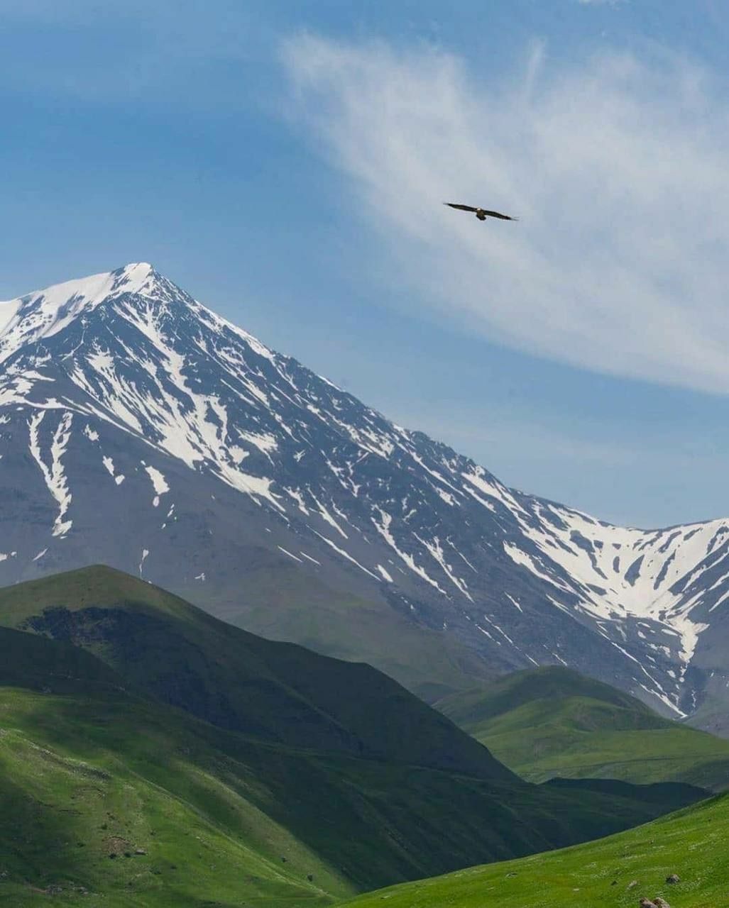 Seferbekova Profile Picture