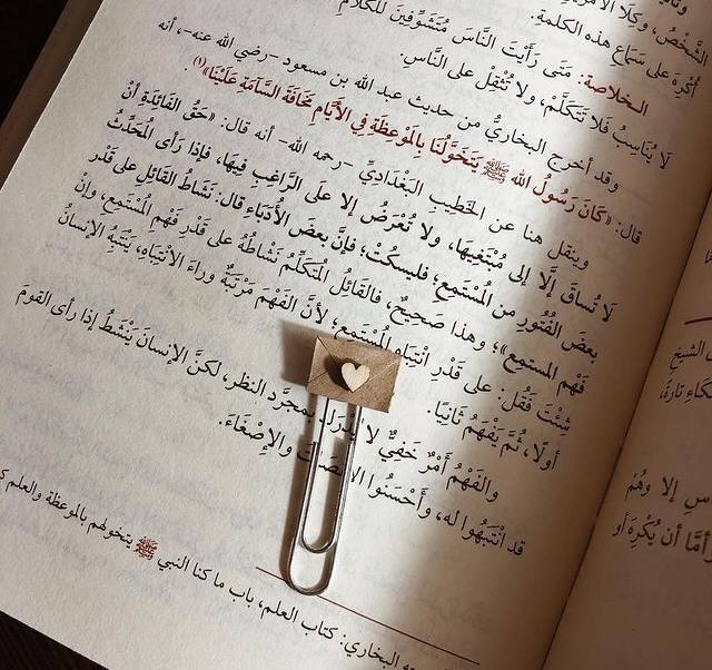 sunarisun Profile Picture