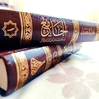 Telegram: Contact @abumalik1990