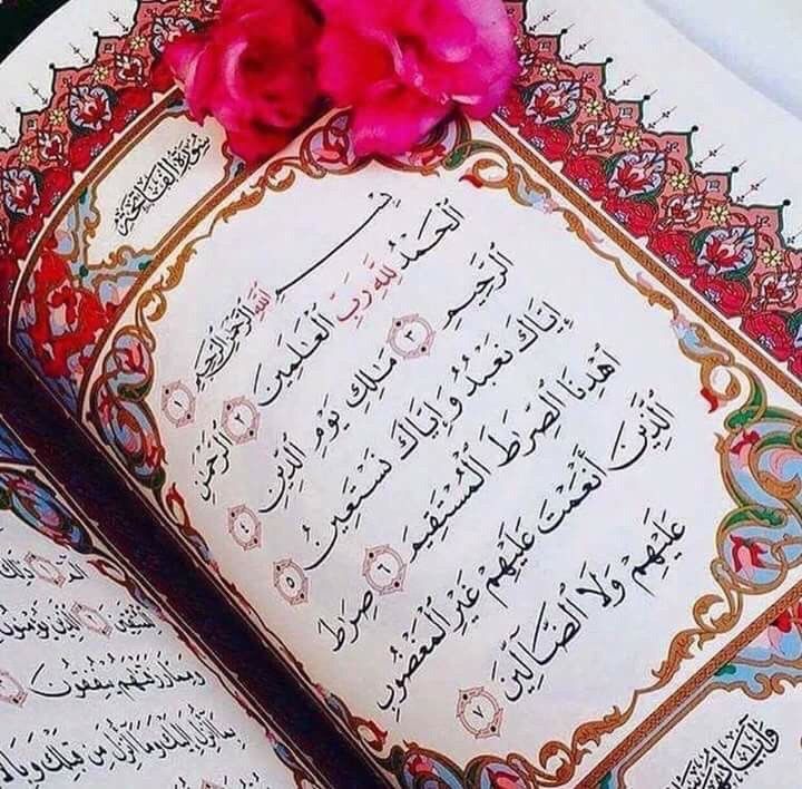 Жансая Акжолкызы Profile Picture