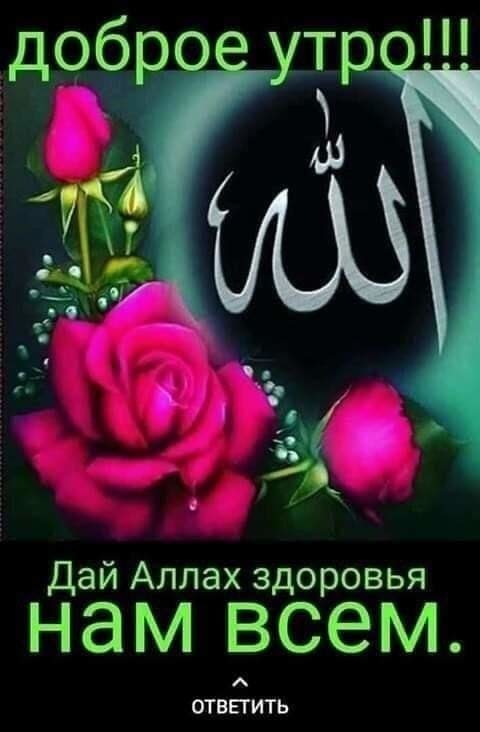 Амина Маслова Profile Picture