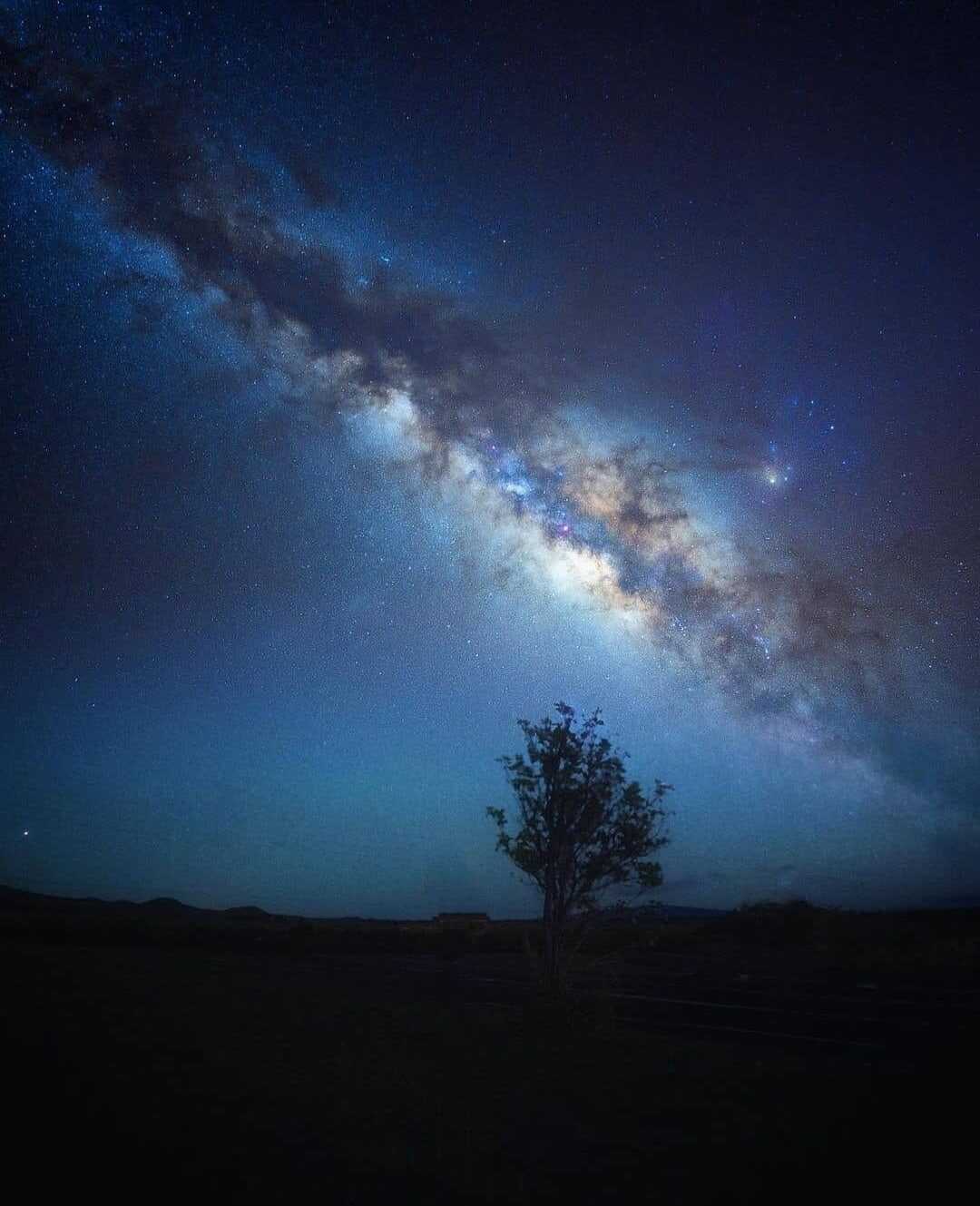 Магомедов Байрамали