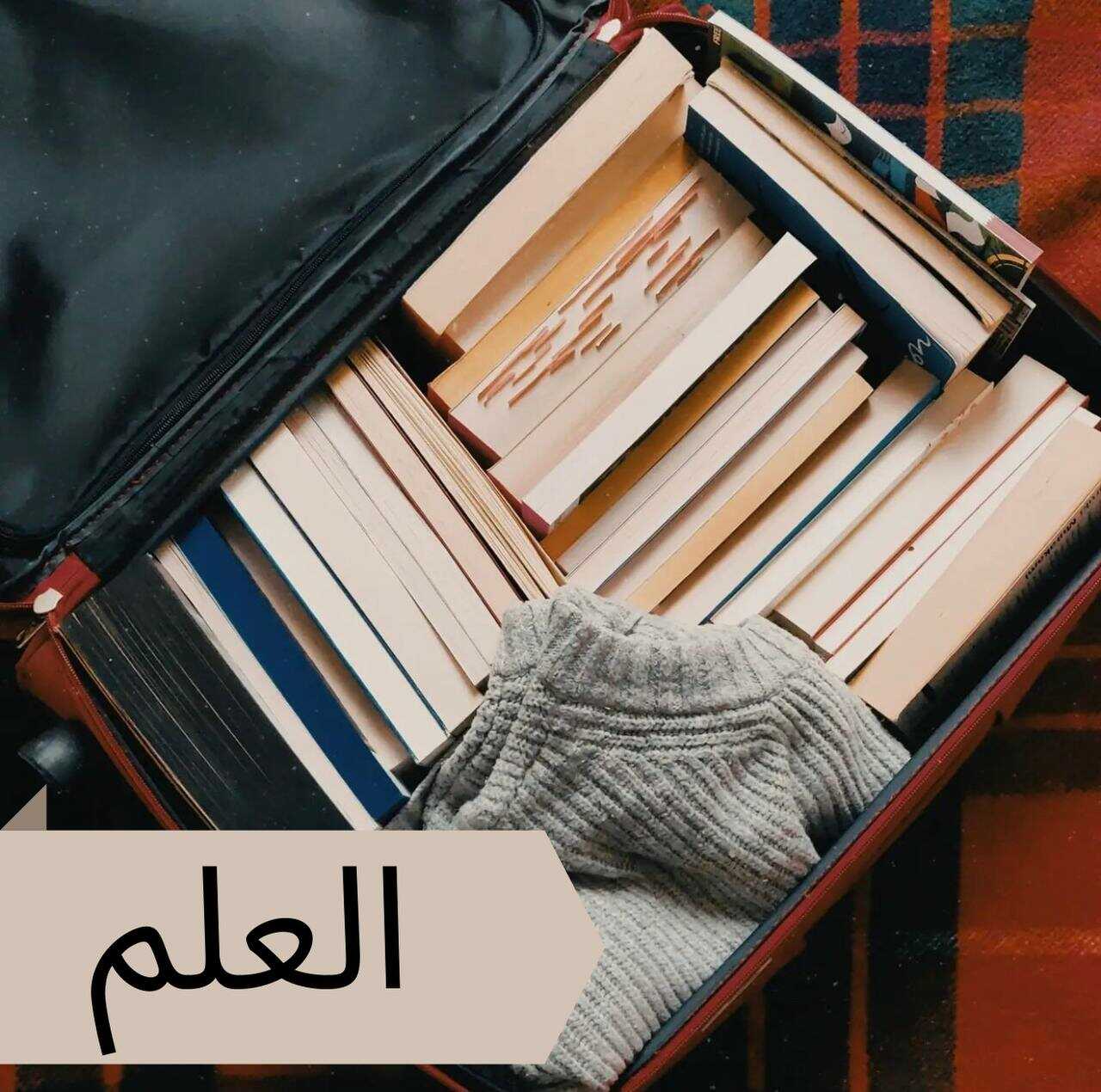 opifop Profile Picture